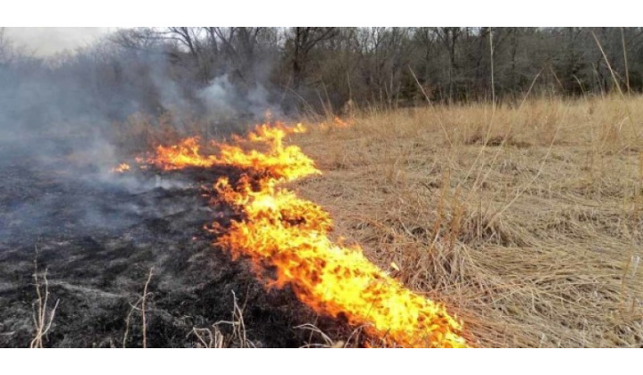 Chráňme prírodu pred požiarmi