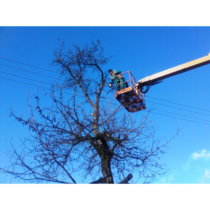 Oznámenie o plánovanom výrube NN, VSD, a.s. Výzva na vykonanie výrubu